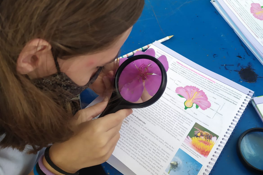 escola-crescer-pato-branco-escola-por-principio-turma-fundamental-I (11)