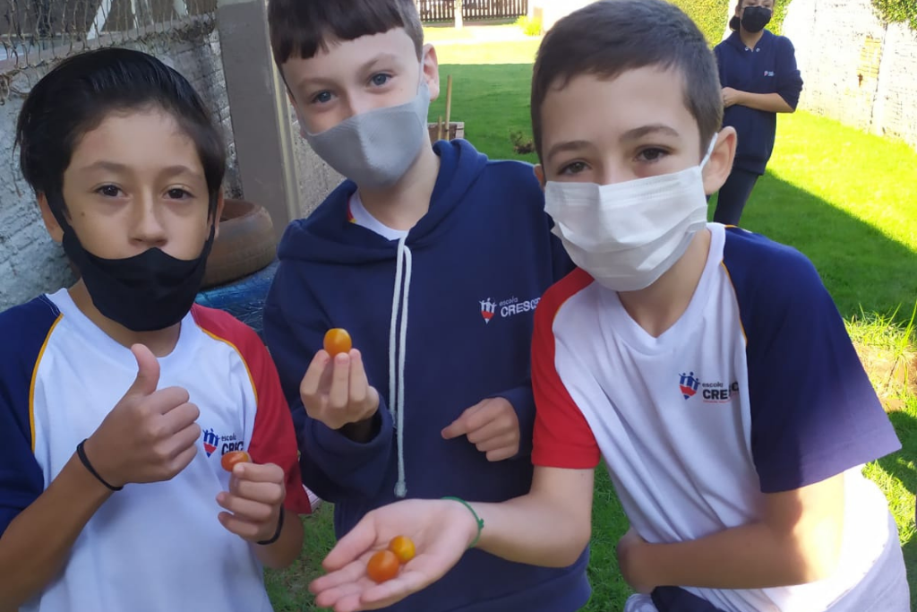 escola-crescer-pato-branco-escola-por-principio-turma-fundamental-I (14)