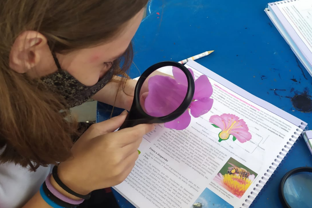 escola-crescer-pato-branco-escola-por-principio-turma-fundamental-I (4)