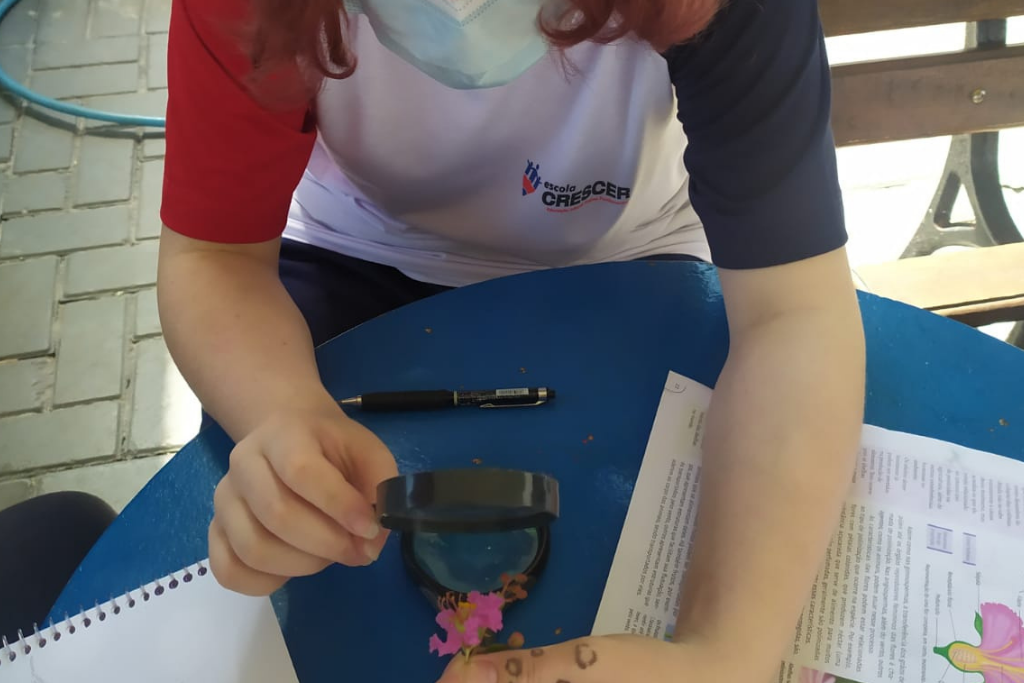 escola-crescer-pato-branco-escola-por-principio-turma-fundamental-I (5)