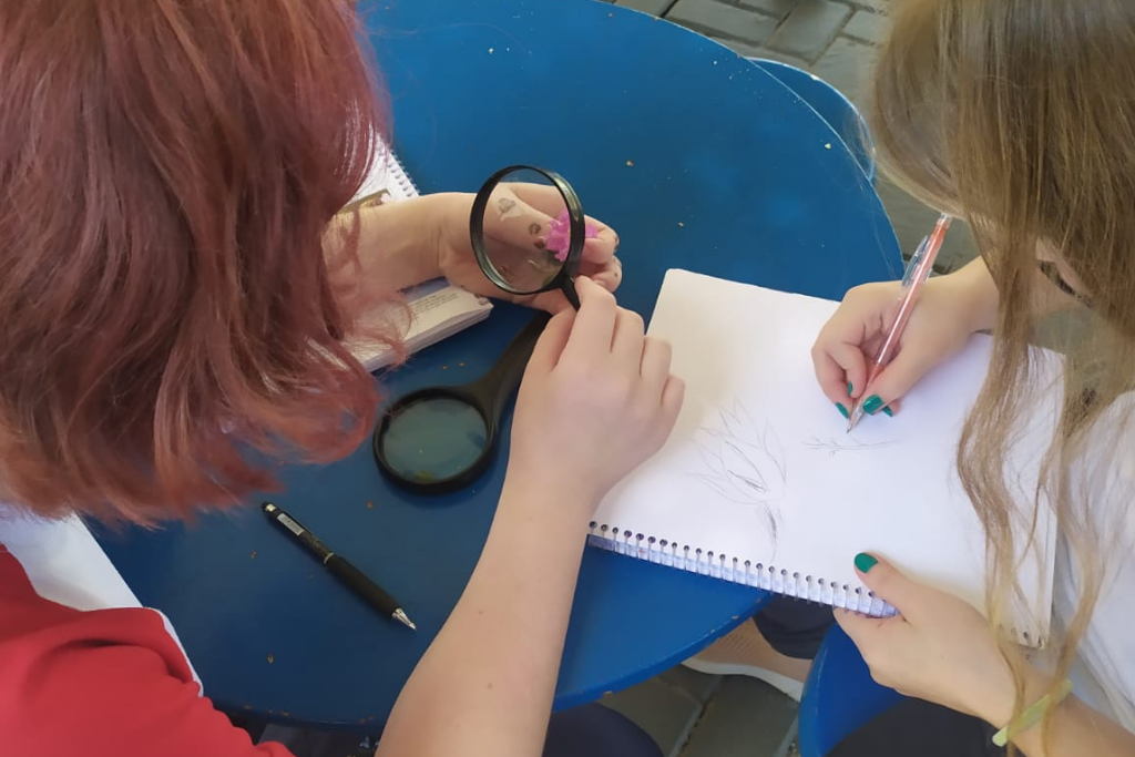 escola-crescer-pato-branco-escola-por-principio-turma-fundamental-I (7)