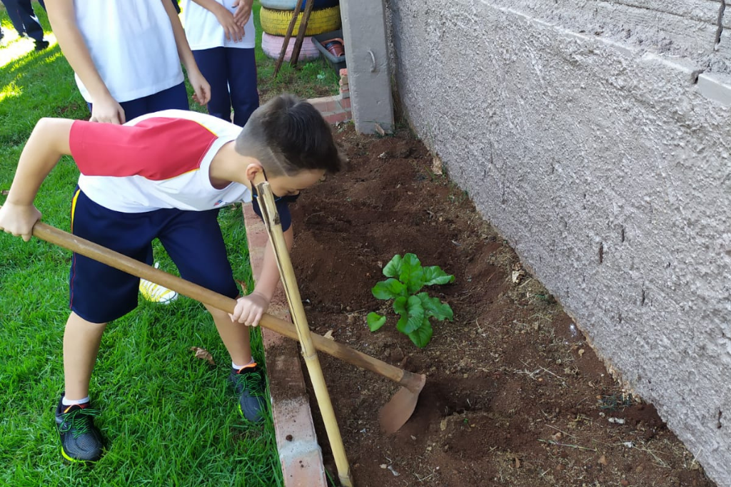 escola-crescer-pato-branco-escola-por-principio-turma-fundamental-I (9)